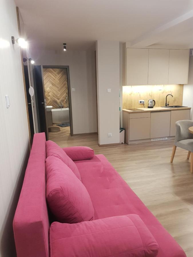 Apartament Góry i Potok Porąbka Exterior foto